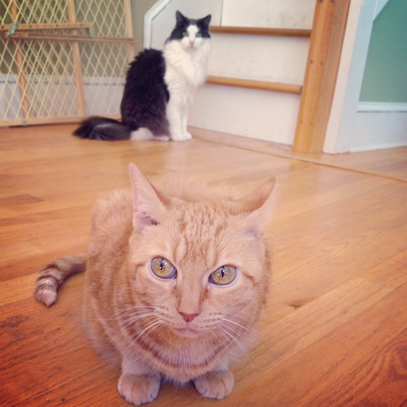 Not For Sale. - Picture 2 of 2